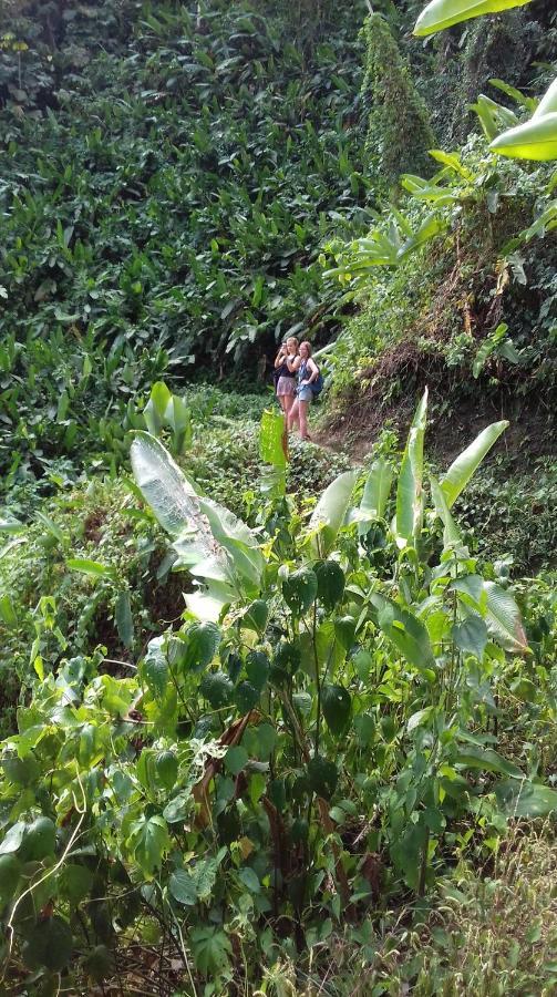 Bolita Trails And Lodging Dos Brazos ภายนอก รูปภาพ